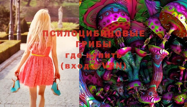 альфа пвп Алексеевка
