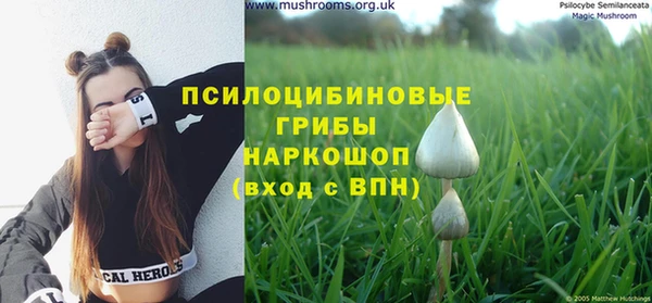 скорость Алзамай