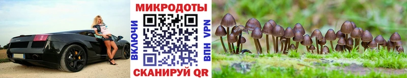 Псилоцибиновые грибы мухоморы  купить наркотик  Искитим 