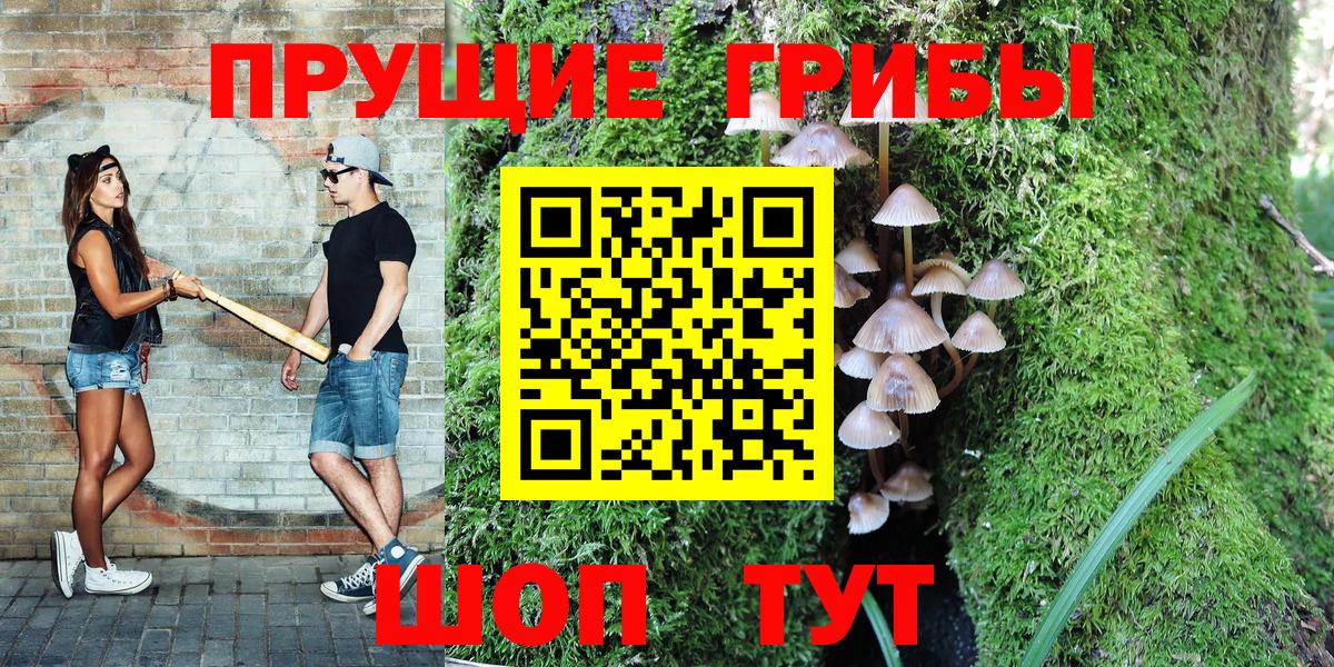 Искитим  Псилоцибиновые грибы Psilocybine cubensis  Вход с VPN 