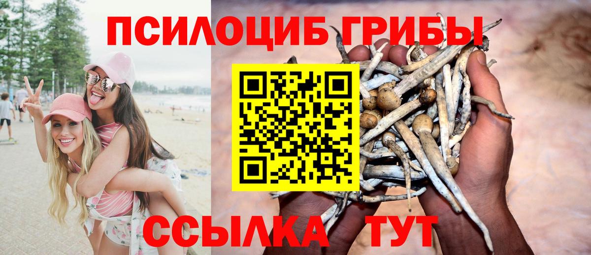 Галлюциногенные грибы Psilocybine cubensis Искитим